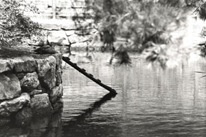 Leica M3